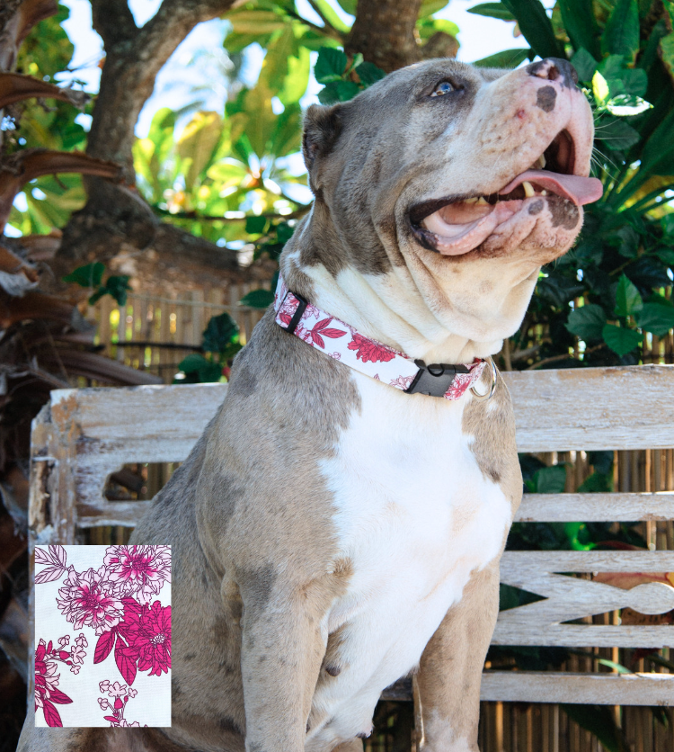 Pink Peony Collar