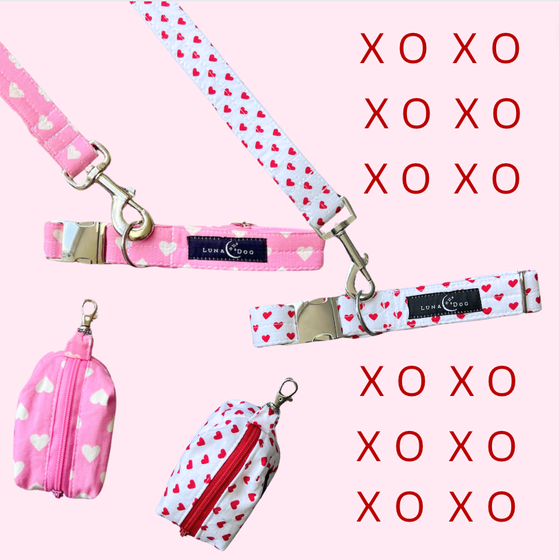 My Dog Is My Valentine Set Collar, Leash, Poopy Bag Pouch
