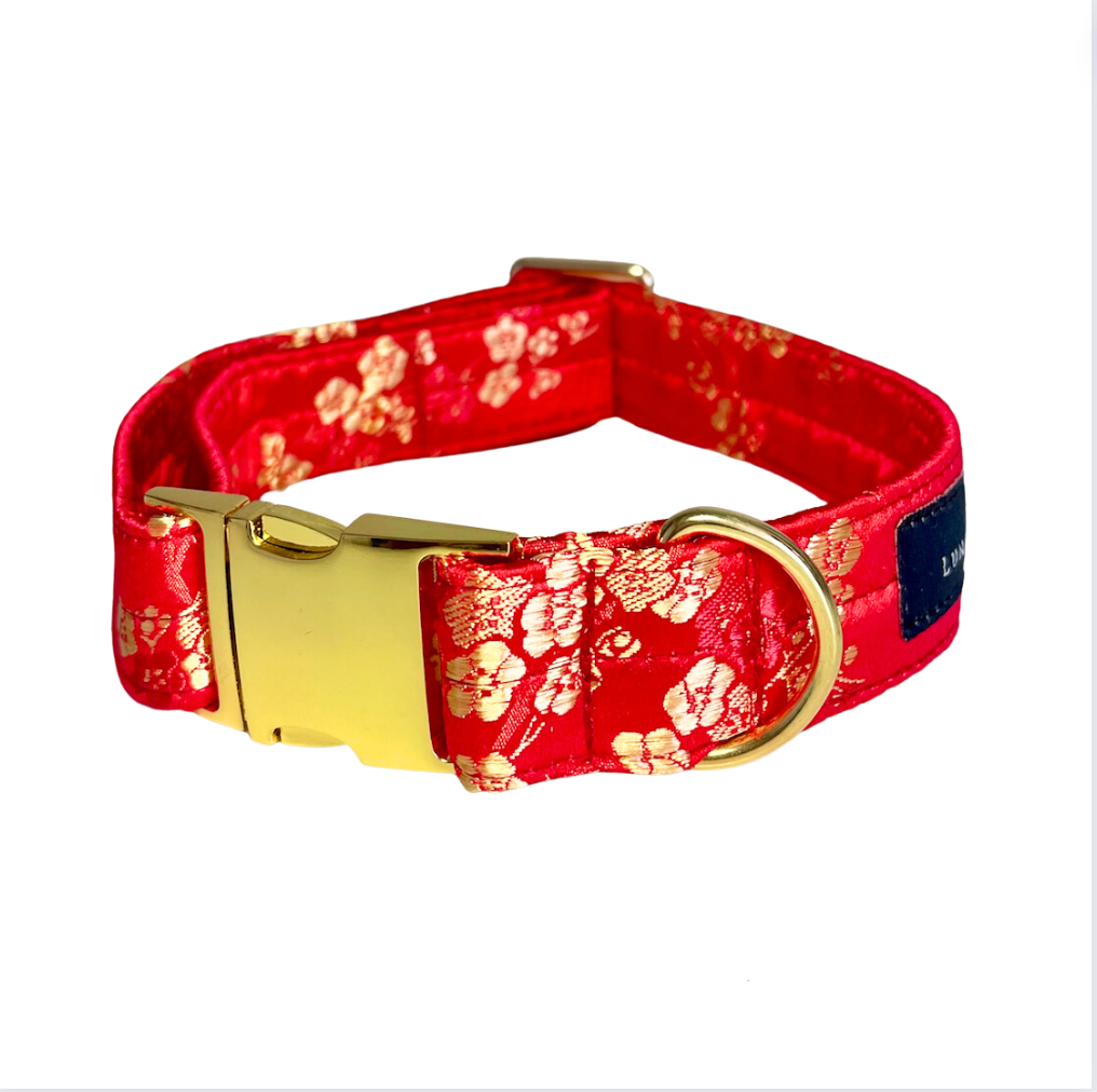 Lucky Red Collar
